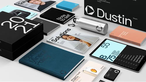 焕新视界，聚焦专业 Dustin信息技术服务公司视觉形象与摄影扩印服务的战略升级